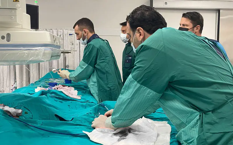 Doğumsal Kalp Hastalıkları